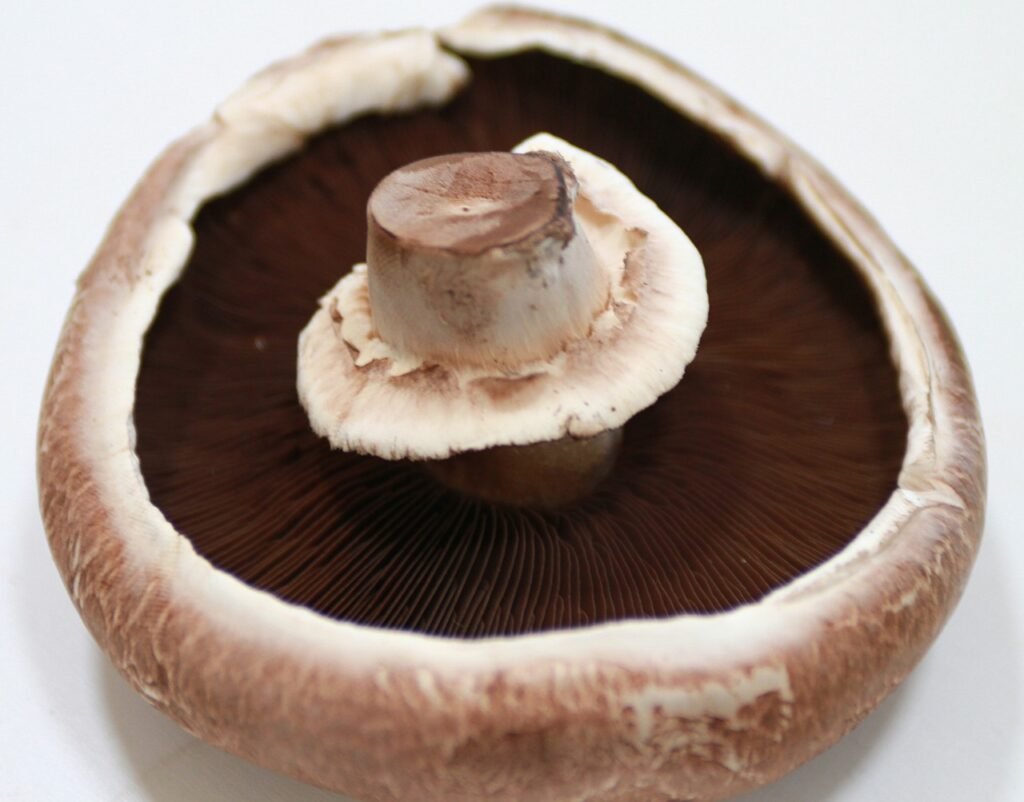 negative effects of portobello mushrooms