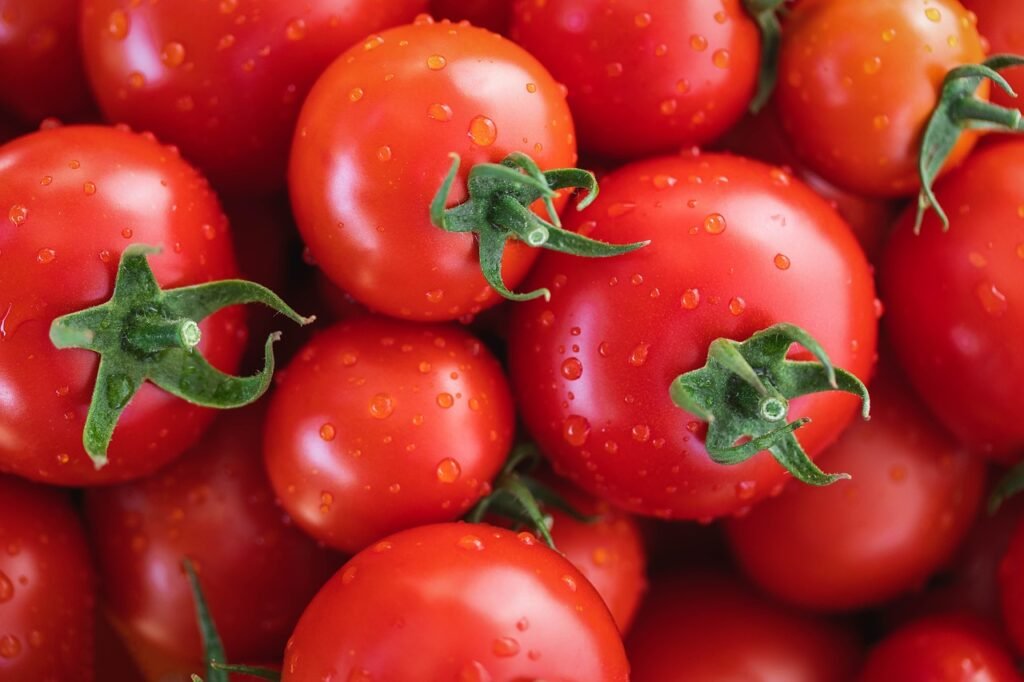 Lectins in Tomatoes