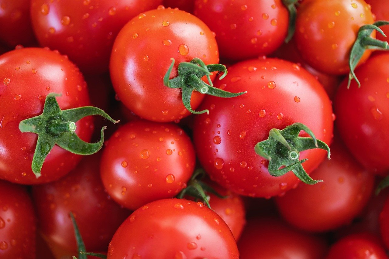 You are currently viewing The Truth About Lectins in Tomatoes and How to Handle Them