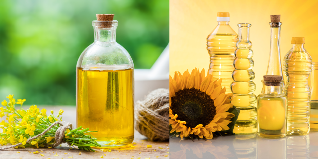 Canola Oil vs Vegetable Oil